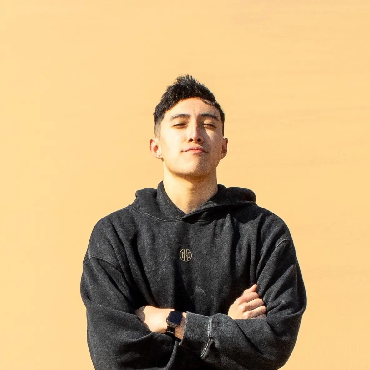 Luis Canales — IT Solutions and Logistics